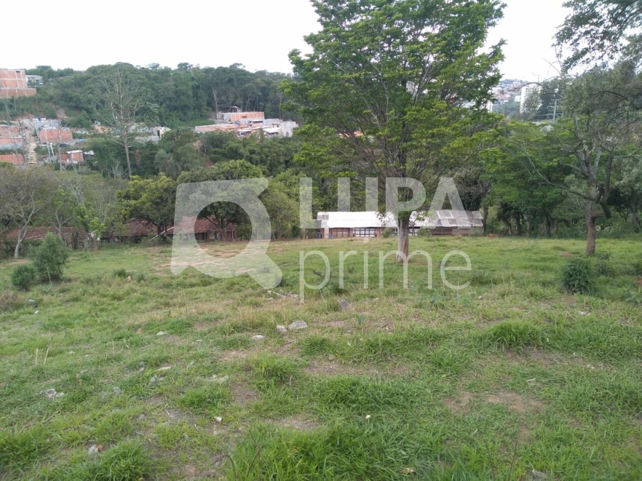 Terreno, 3 hectares - Foto 7