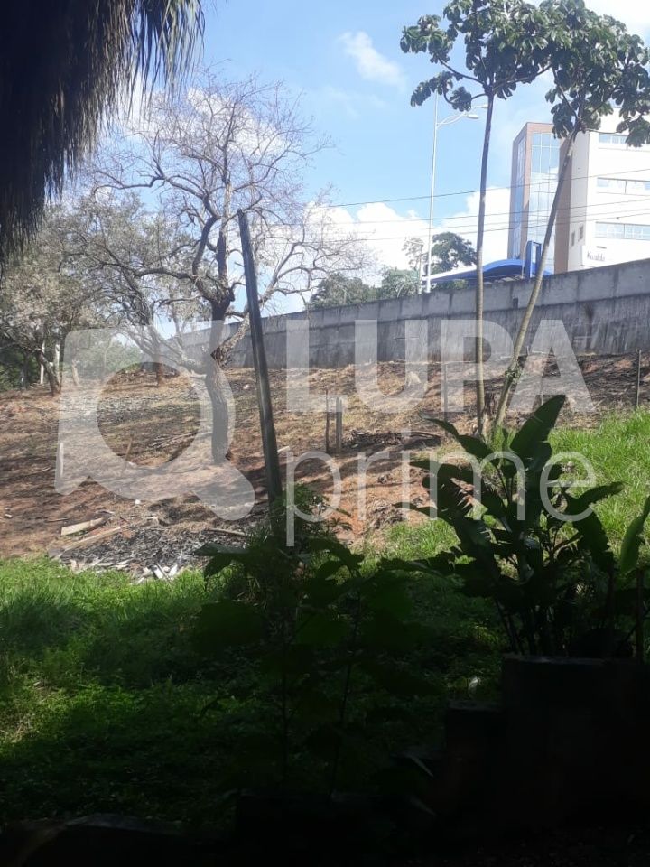Terreno, 3 hectares - Foto 8