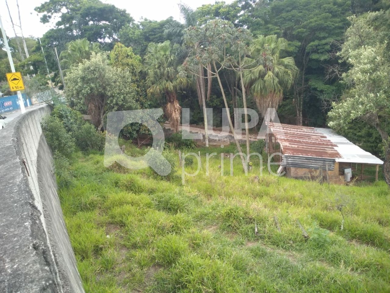 Terreno, 3 hectares - Foto 10