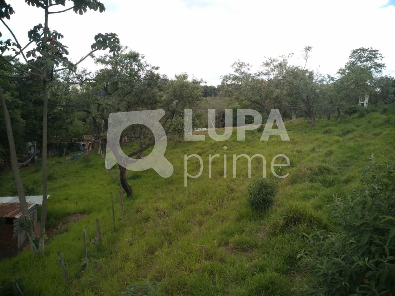 Terreno, 3 hectares - Foto 11