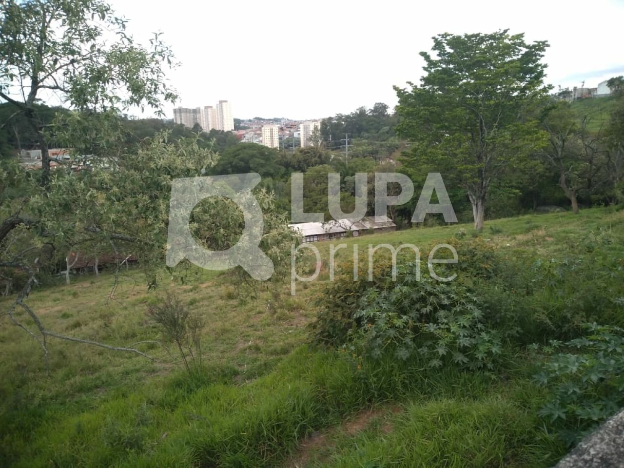 Terreno, 3 hectares - Foto 13
