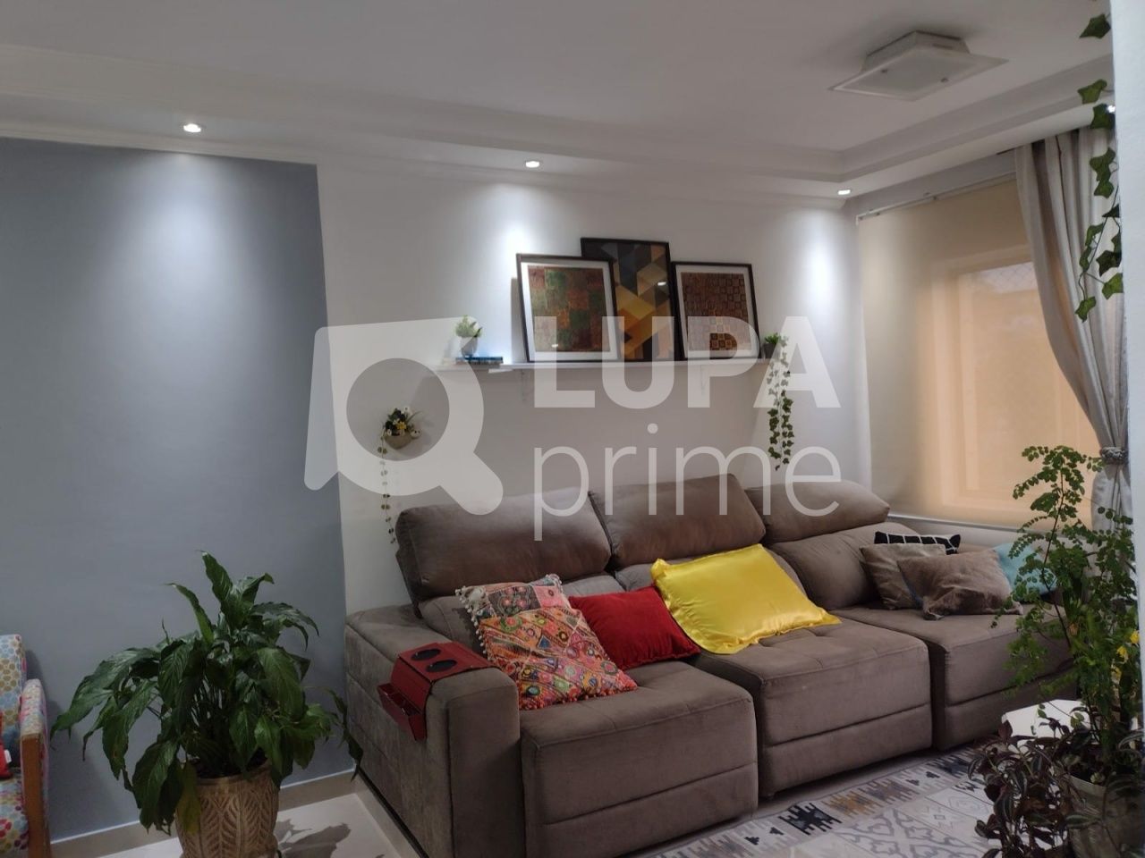 apartamento-venda-sao-paulo-vila-palmeiras-2dormitorios-1vaga-75m2-LS35949