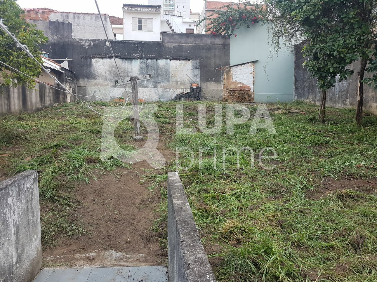 terreno-venda-sao-paulo-vila-pauliceia-LS35984