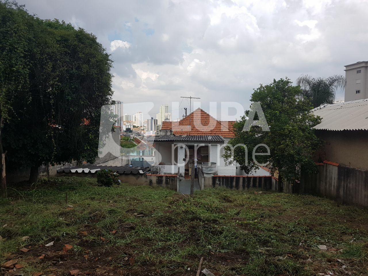 terreno-venda-sao-paulo-vila-pauliceia-LS35984