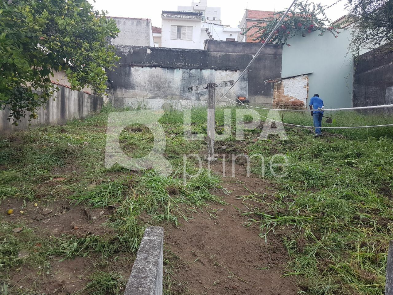 terreno-venda-sao-paulo-vila-pauliceia-LS35984