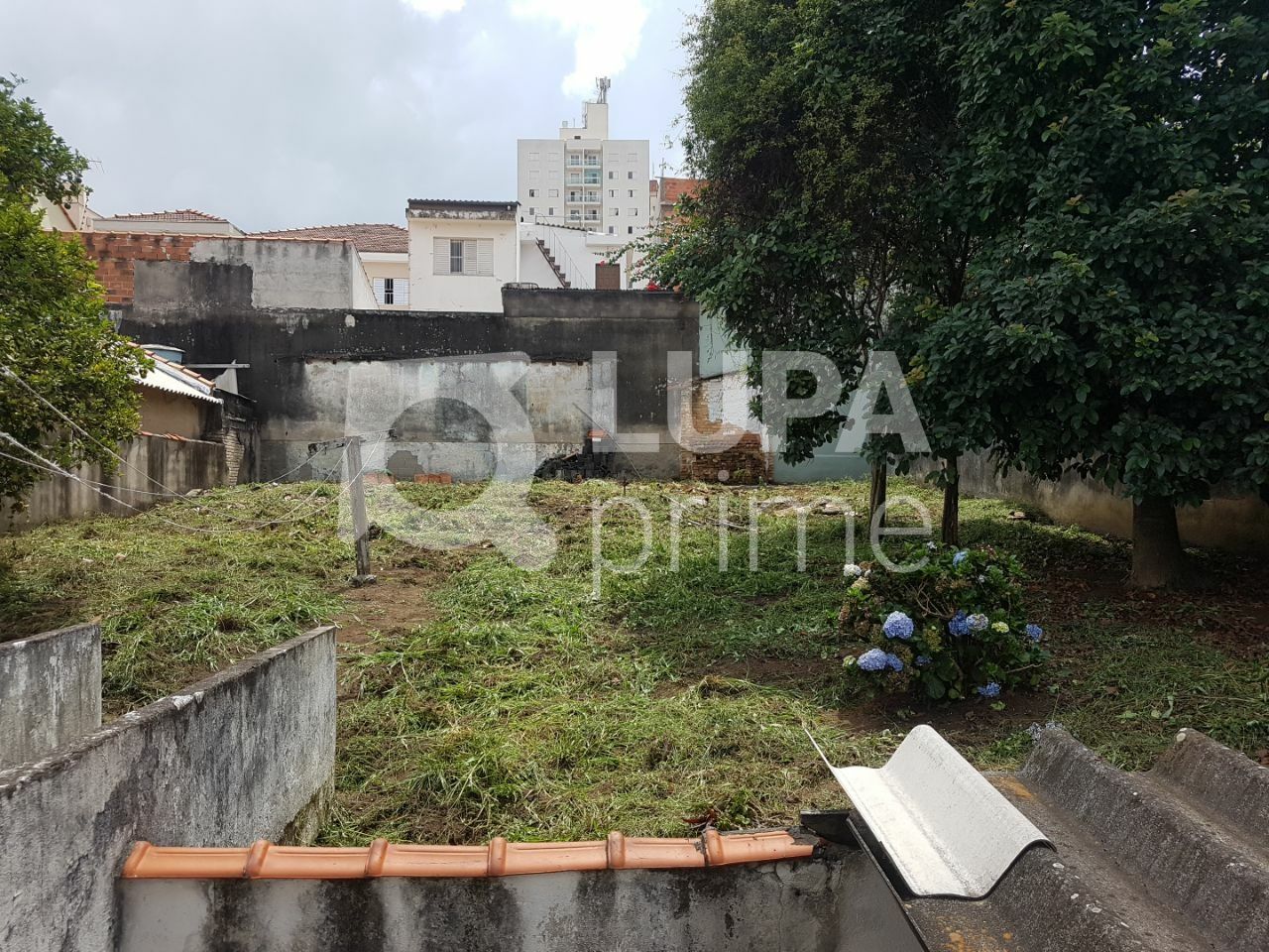 terreno-venda-sao-paulo-vila-pauliceia-LS35984