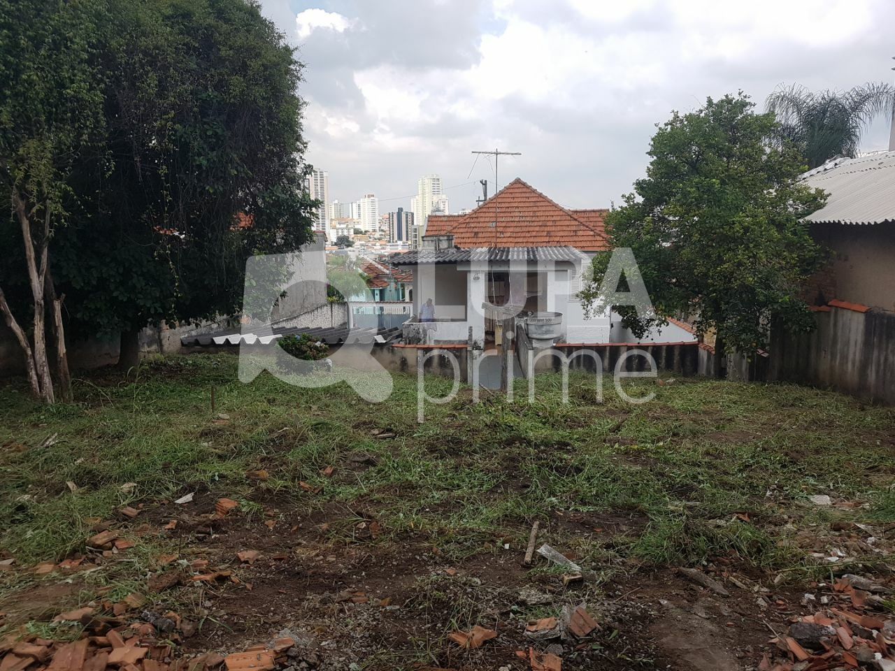 terreno-venda-sao-paulo-vila-pauliceia-LS35984