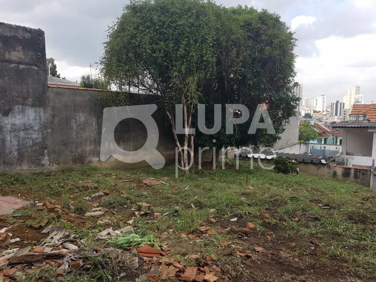 terreno-venda-sao-paulo-vila-pauliceia-LS35984