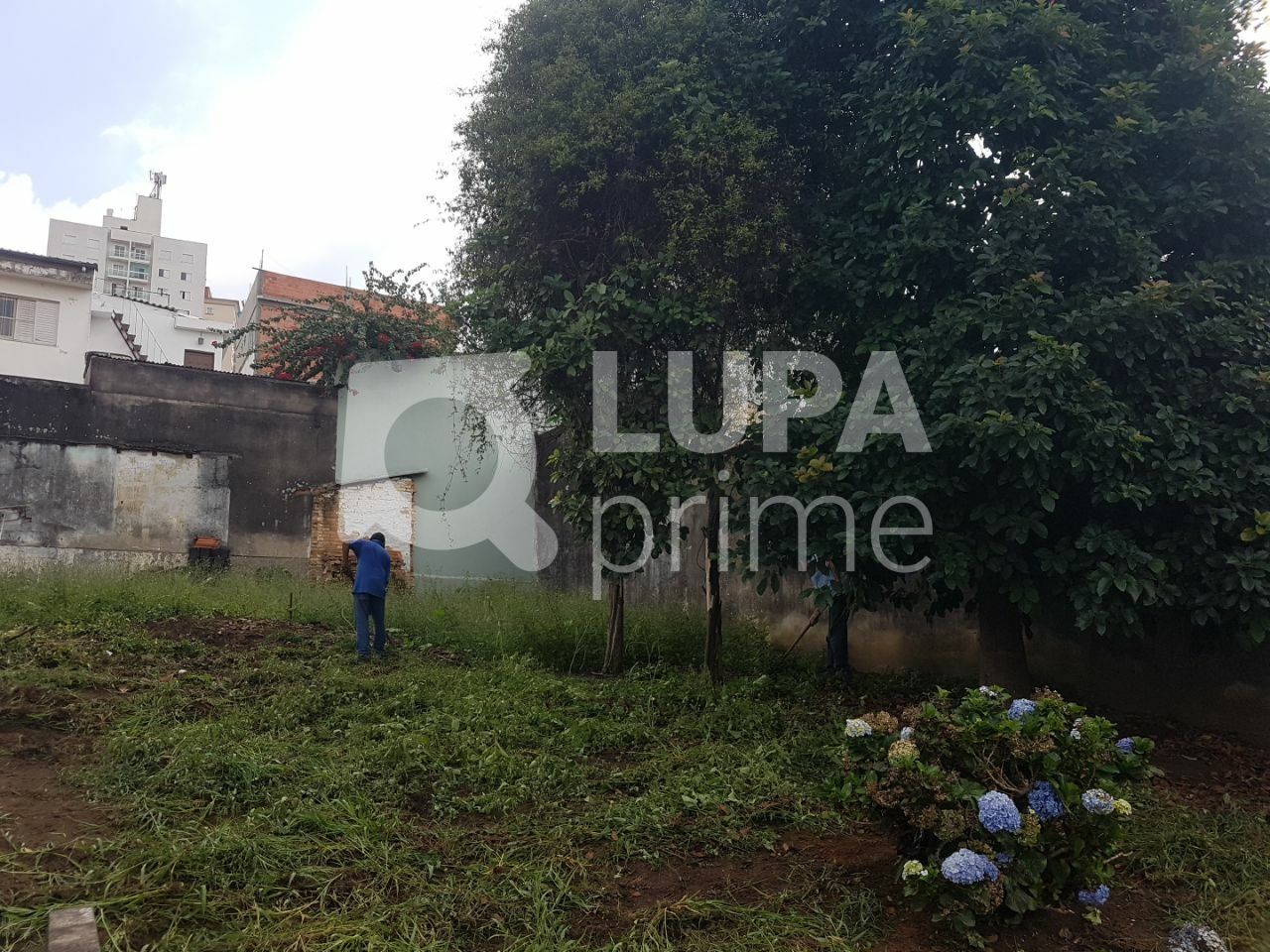 terreno-venda-sao-paulo-vila-pauliceia-LS35984