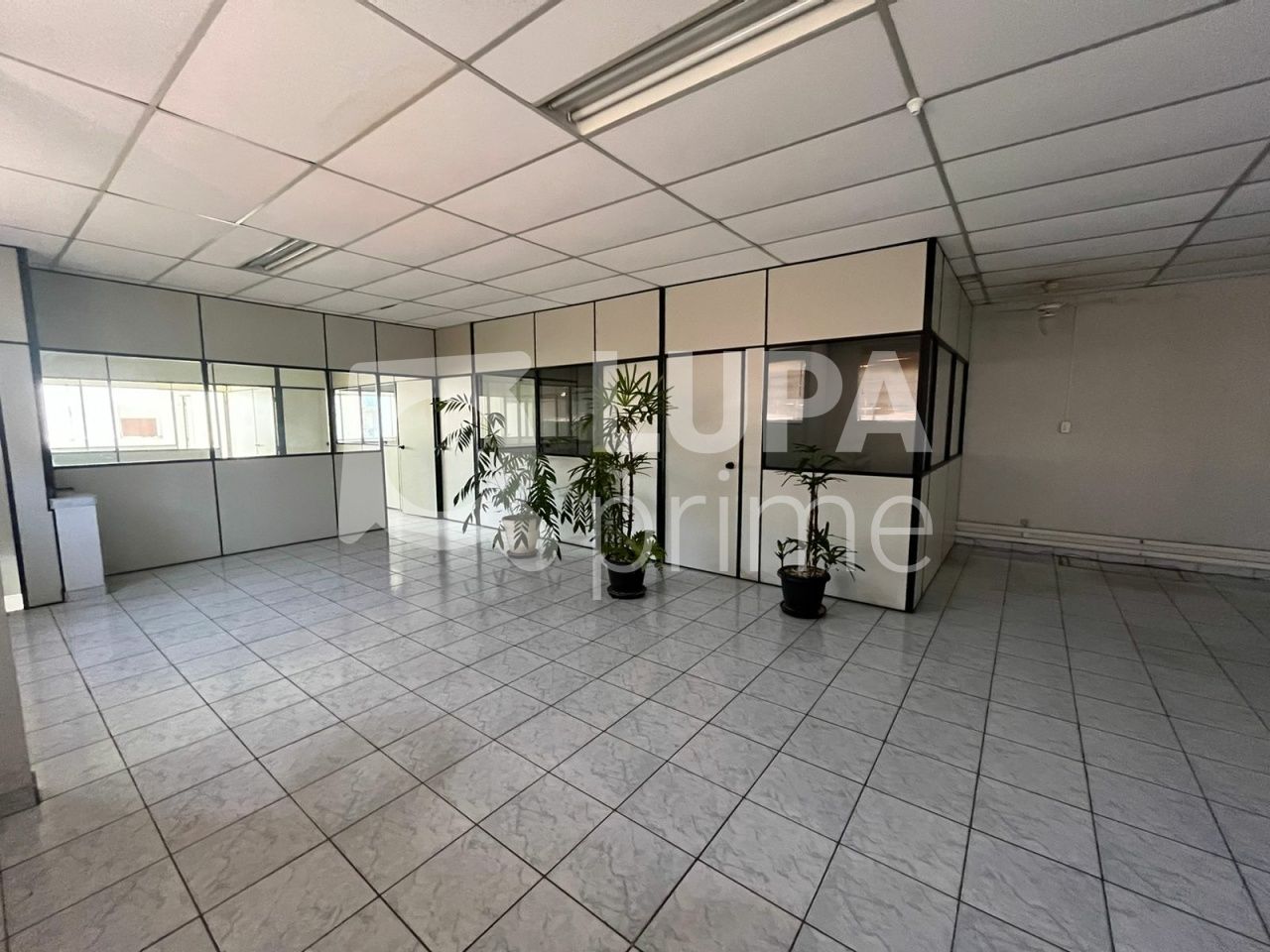 galpao-venda-sao-paulo-parque-mandaqui-550m2-LS36236