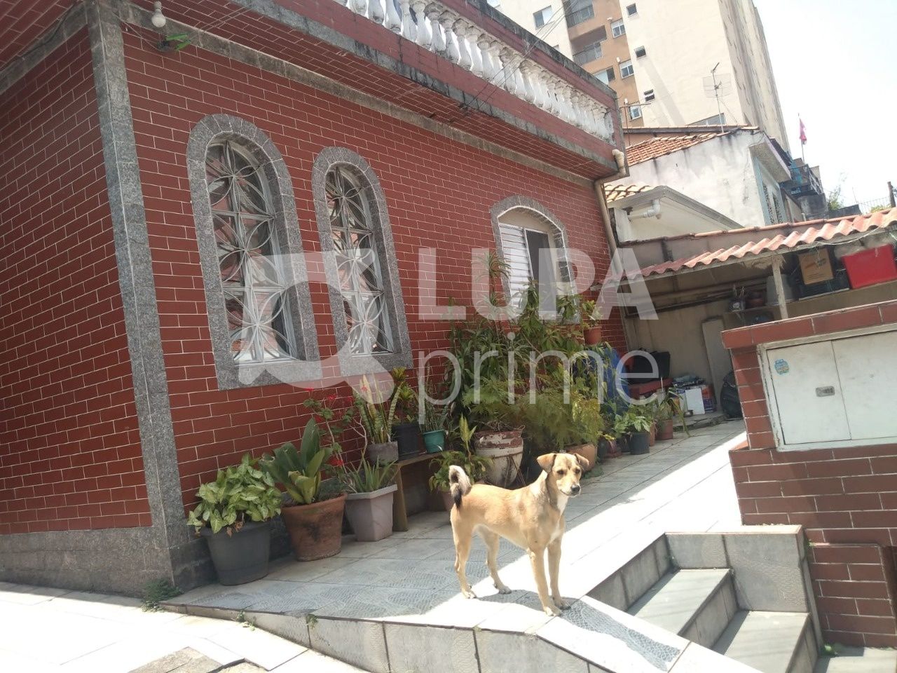 sobrado-venda-sao-paulo-parada-inglesa-6dormitorios-1suite-4vagas-345m2-LS36249