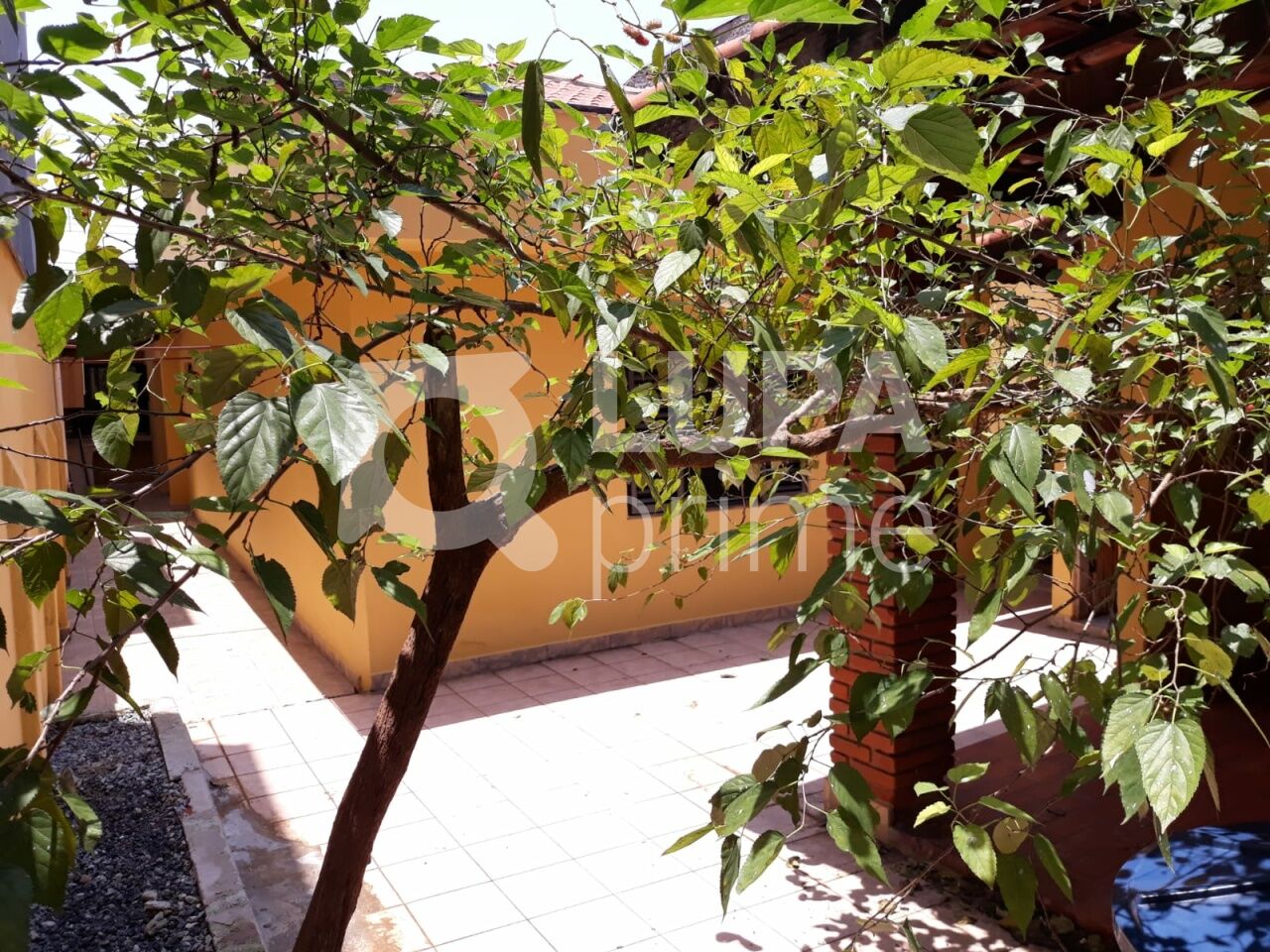 casa-terrea-venda-sao-paulo-vila-gustavo-3dormitorios-1suite-3vagas-125m2-LS36319