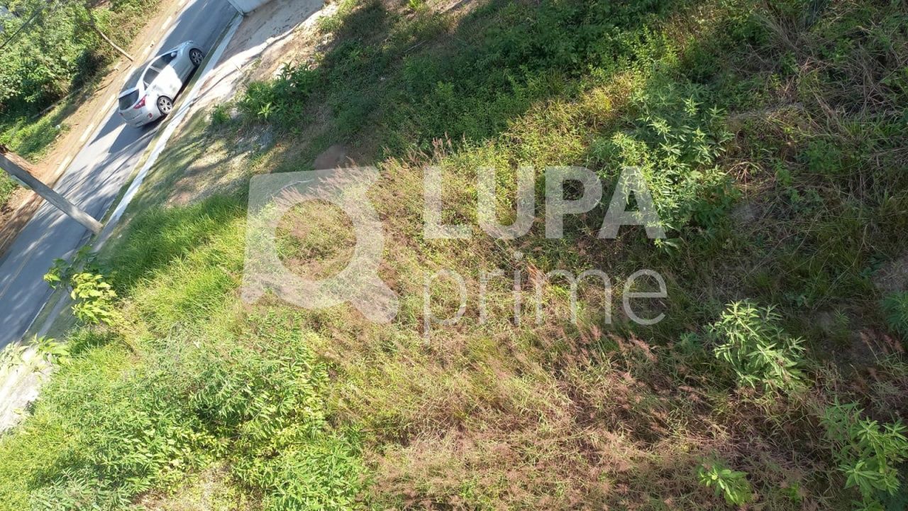 terreno-venda-sao-paulo-jardim-floresta-LS36423
