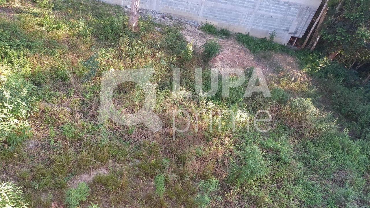 terreno-venda-sao-paulo-jardim-floresta-LS36423
