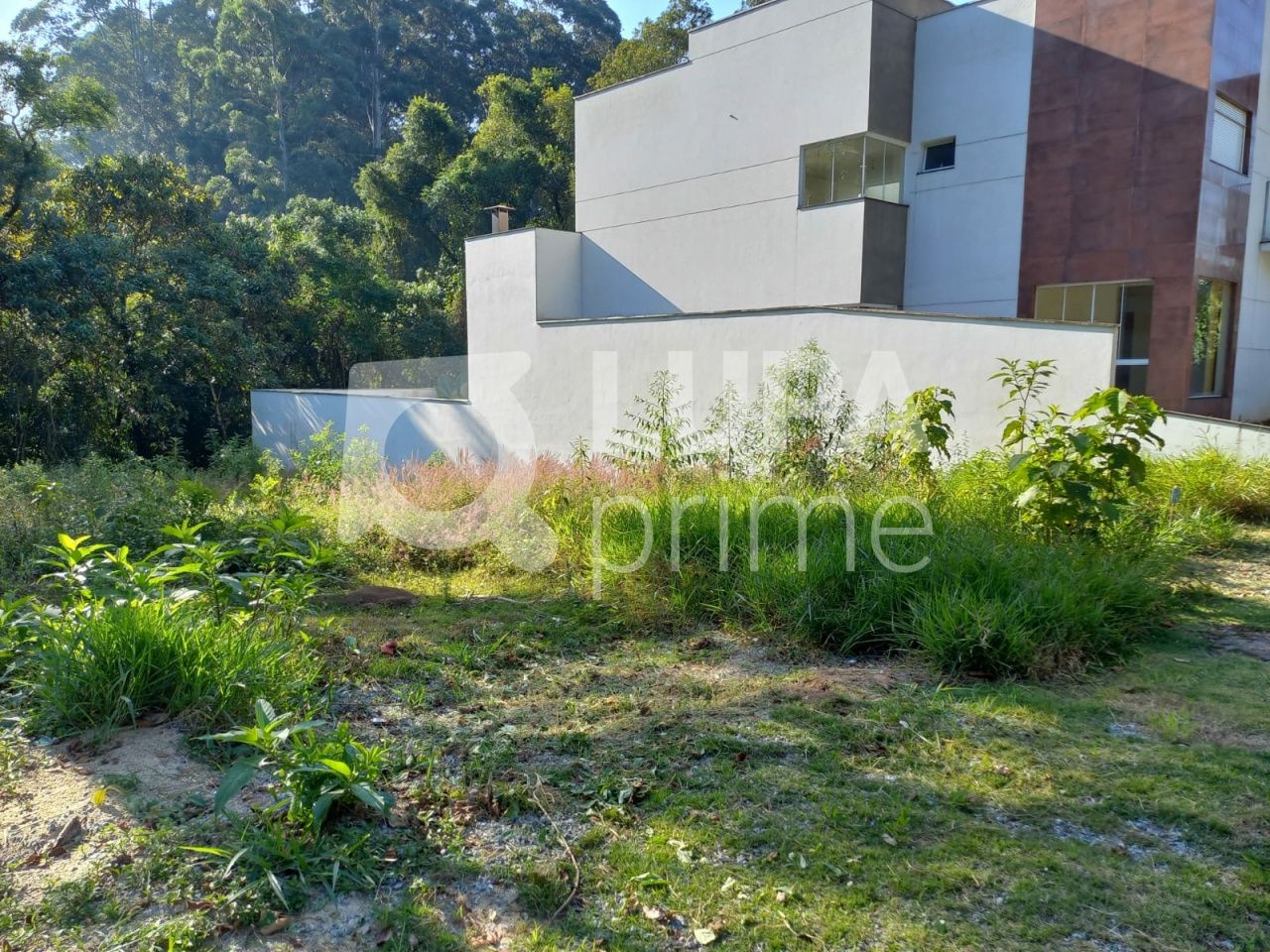 terreno-venda-sao-paulo-jardim-floresta-LS36423