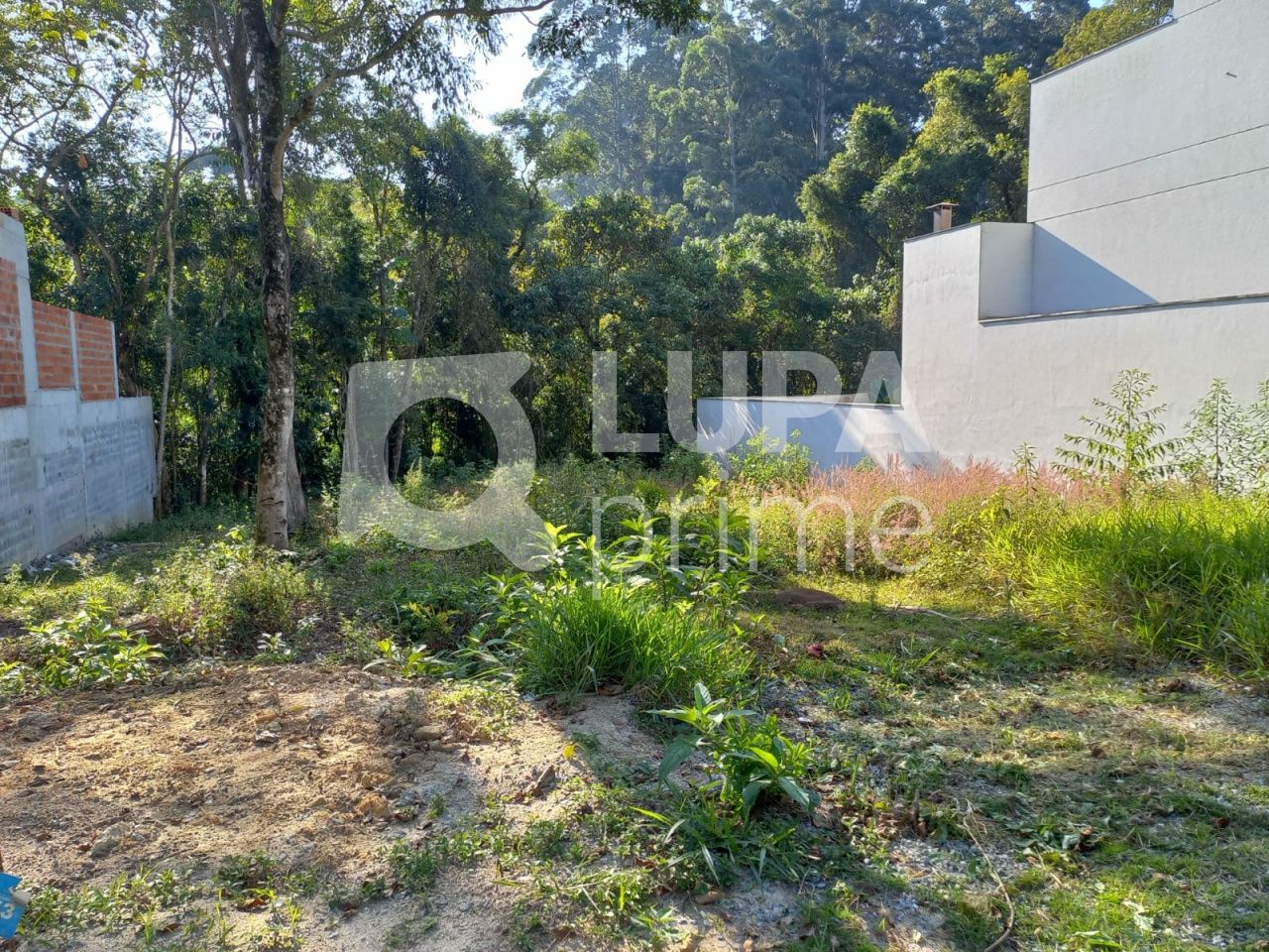 terreno-venda-sao-paulo-jardim-floresta-LS36423