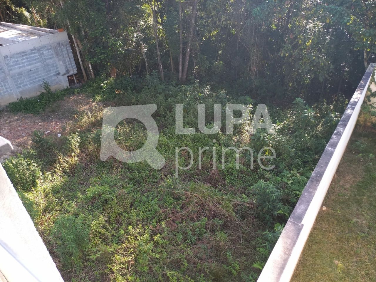 terreno-venda-sao-paulo-jardim-floresta-LS36423