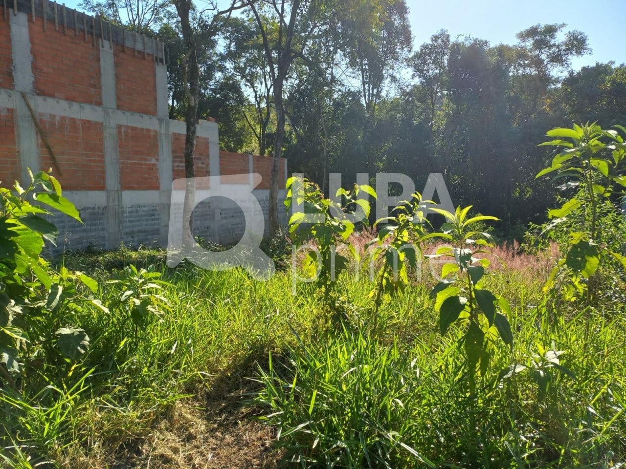terreno-venda-sao-paulo-jardim-floresta-LS36424