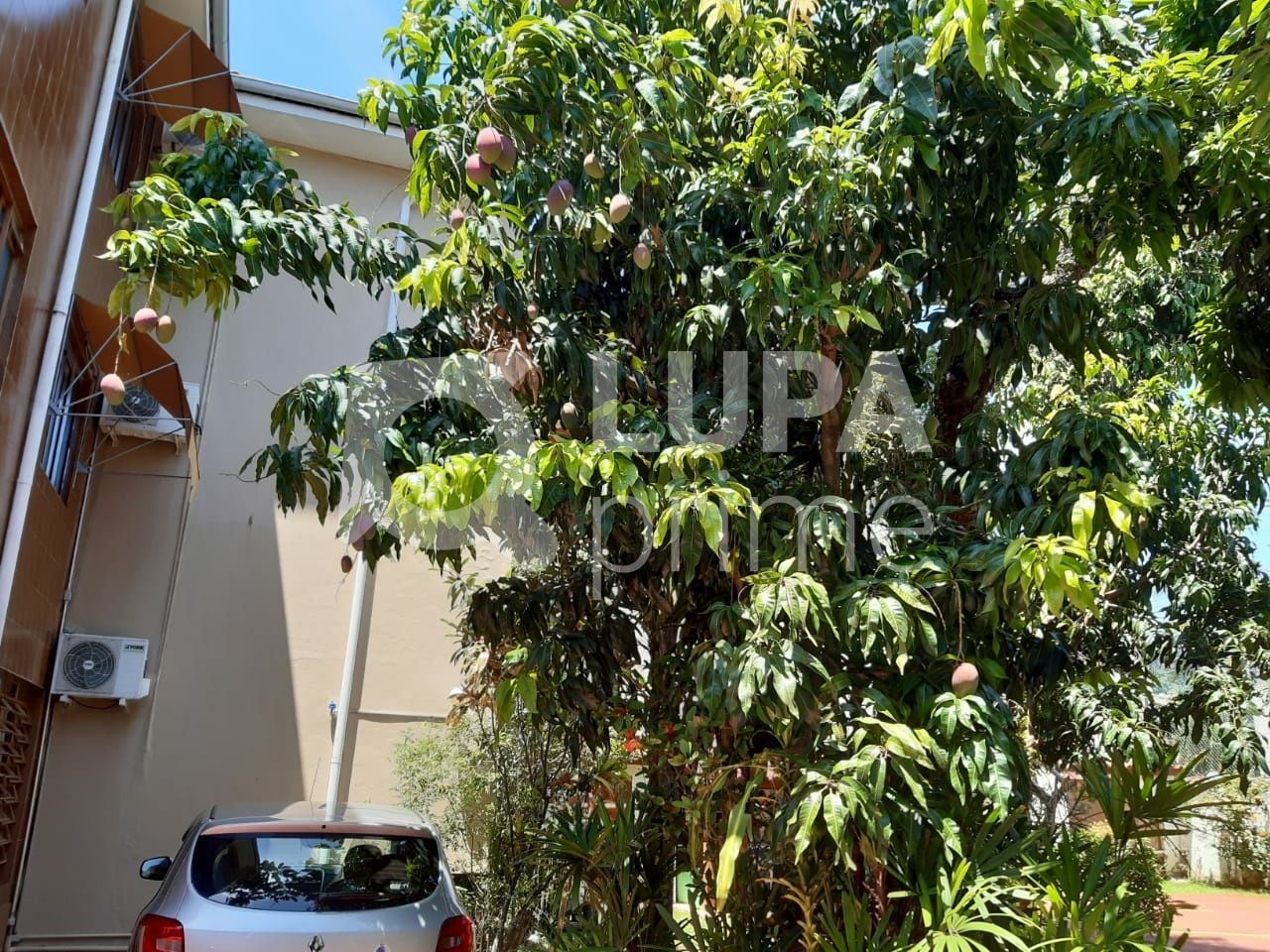 condominio-venda-sao-paulo-jardim-sao-sebastiao-3dormitorios-3suites-1vaga-460m2-LS36576