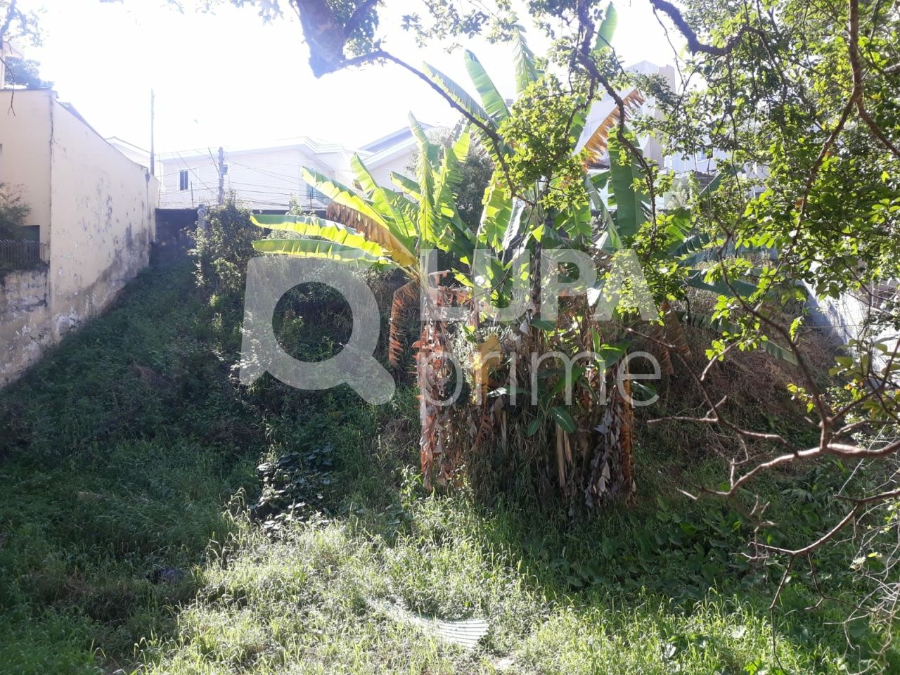 terreno-venda-sao-paulo-tucuruvi-LS36578