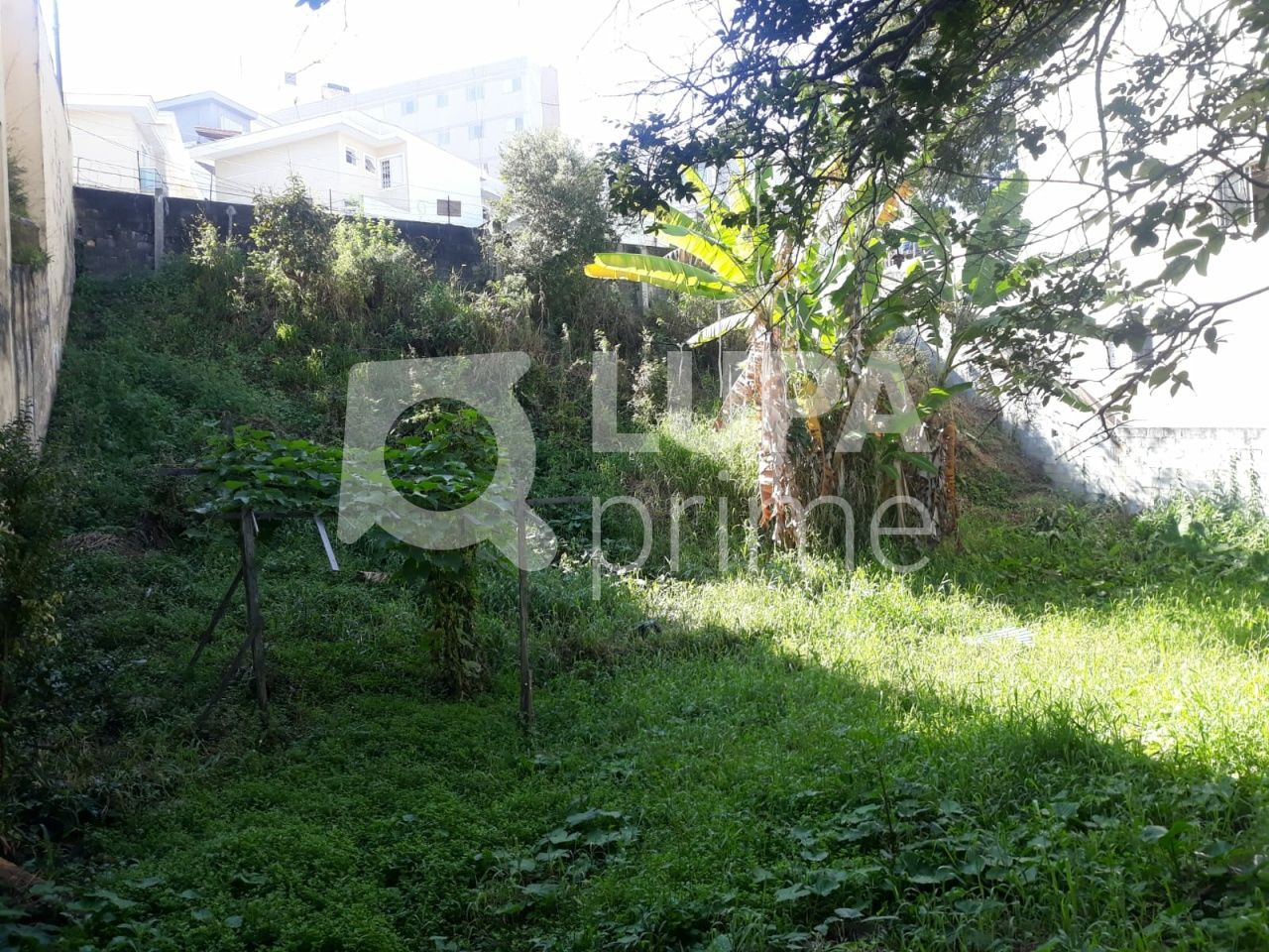 terreno-venda-sao-paulo-tucuruvi-LS36578