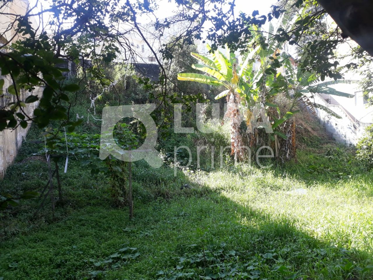 terreno-venda-sao-paulo-tucuruvi-LS36578