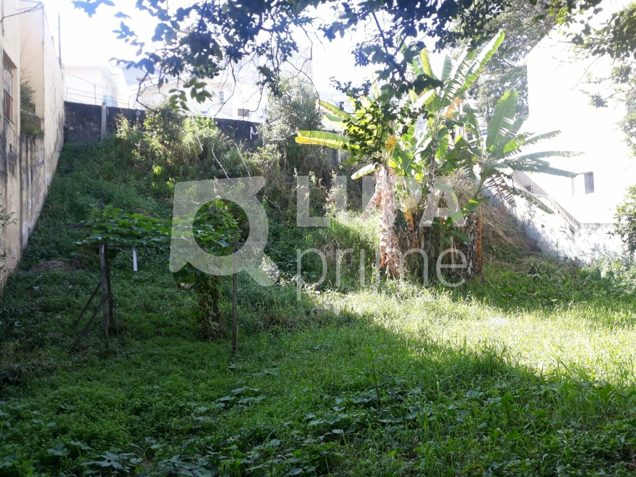 terreno-venda-sao-paulo-tucuruvi-LS36578