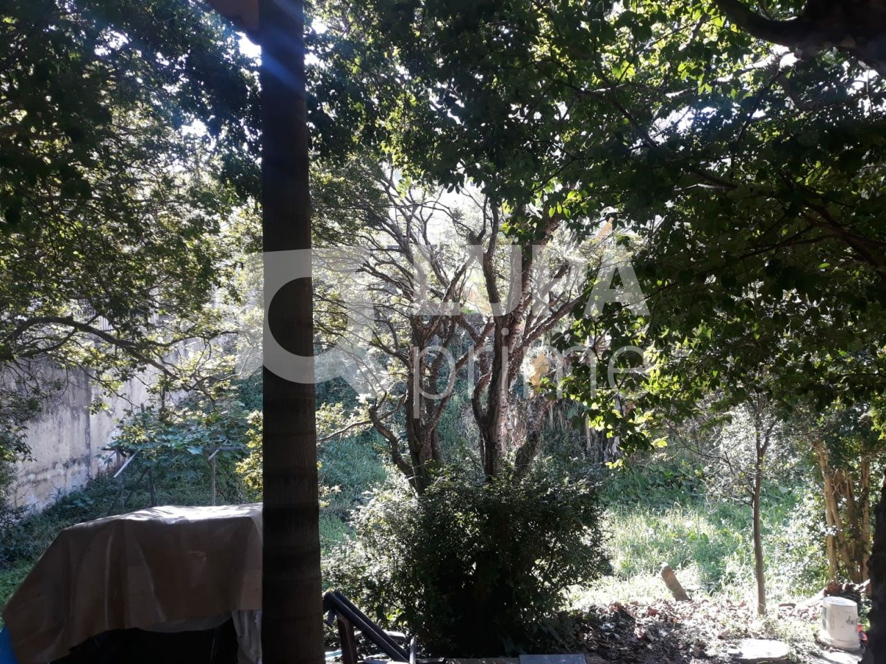 terreno-venda-sao-paulo-tucuruvi-LS36578