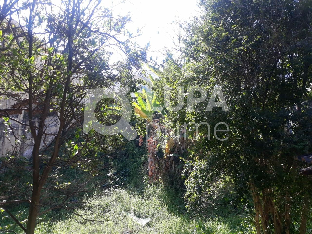 terreno-venda-sao-paulo-tucuruvi-LS36578