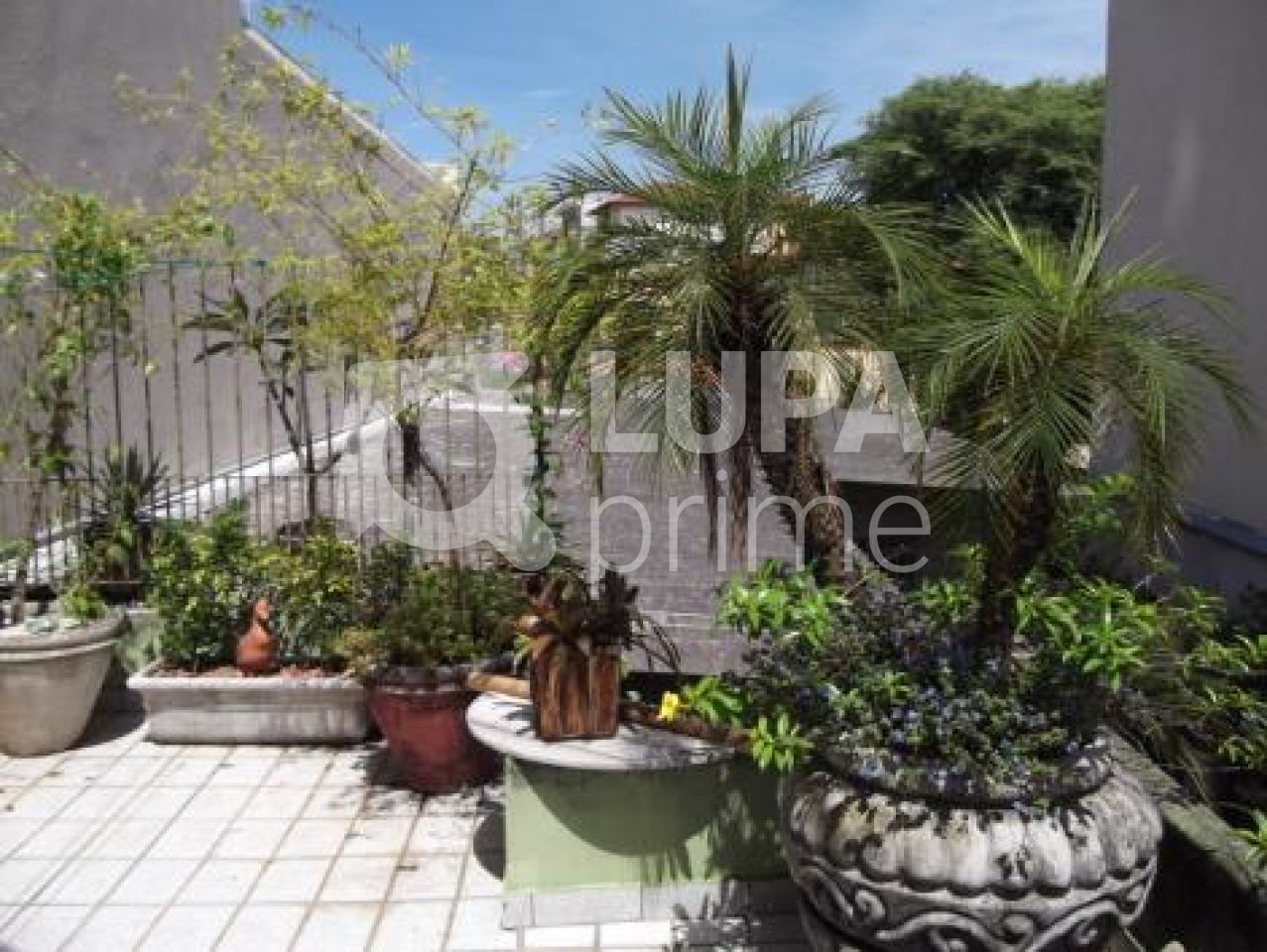 comercial-venda-sao-paulo-santana-280m2-LS3659