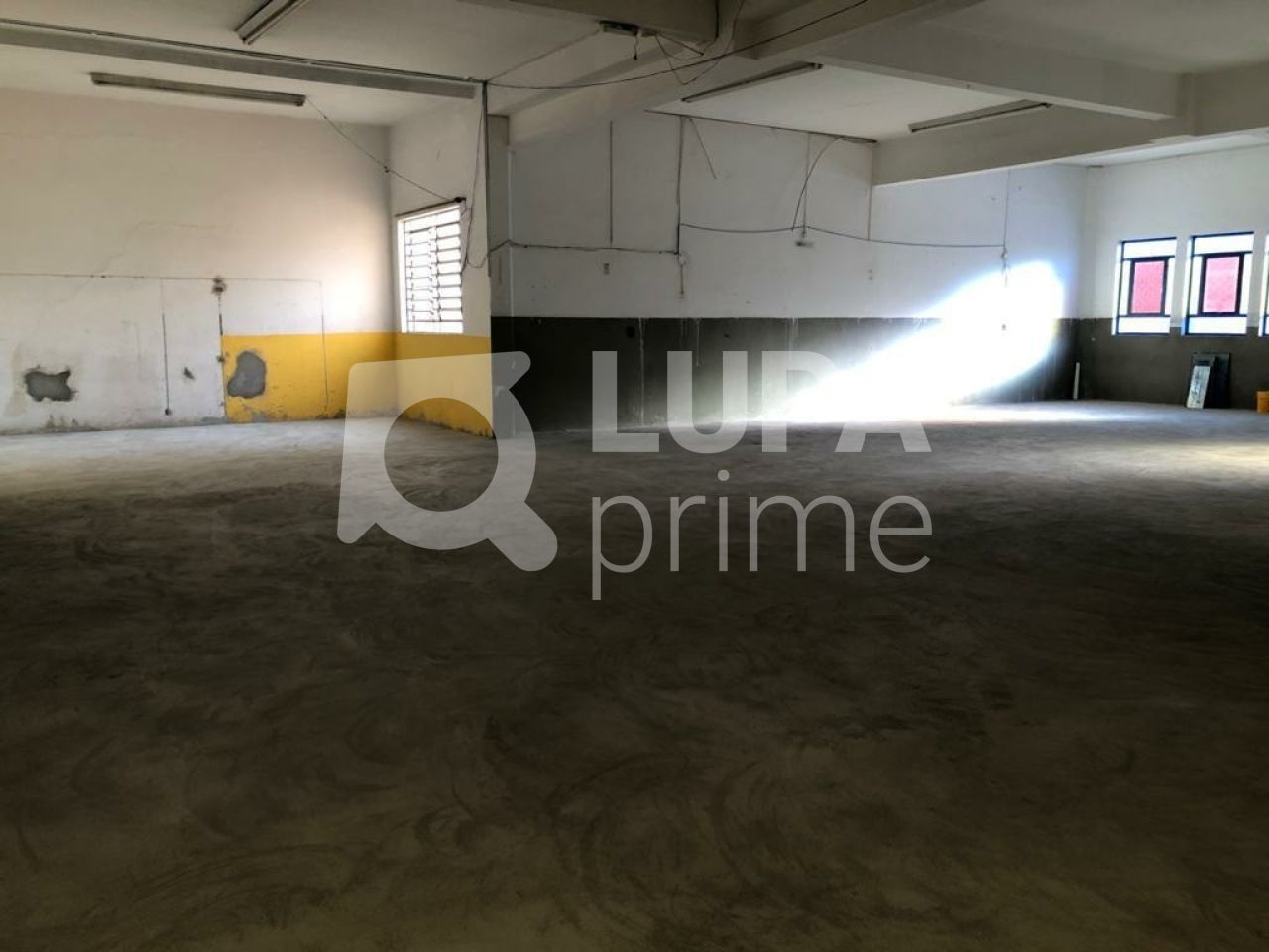 Depósito-Galpão, 1000 m² - Foto 6