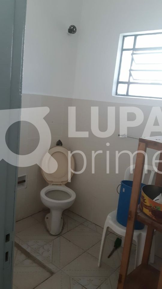 sobrado-locacao-sao-paulo-vila-isolina-mazzei-3dormitorios-5vagas-104m2-LS36633