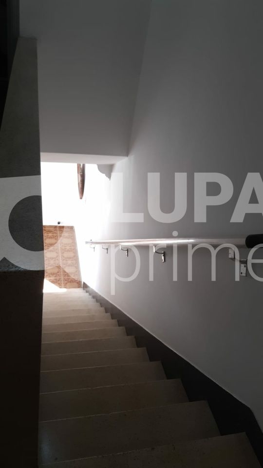 sobrado-locacao-sao-paulo-vila-isolina-mazzei-3dormitorios-5vagas-104m2-LS36633