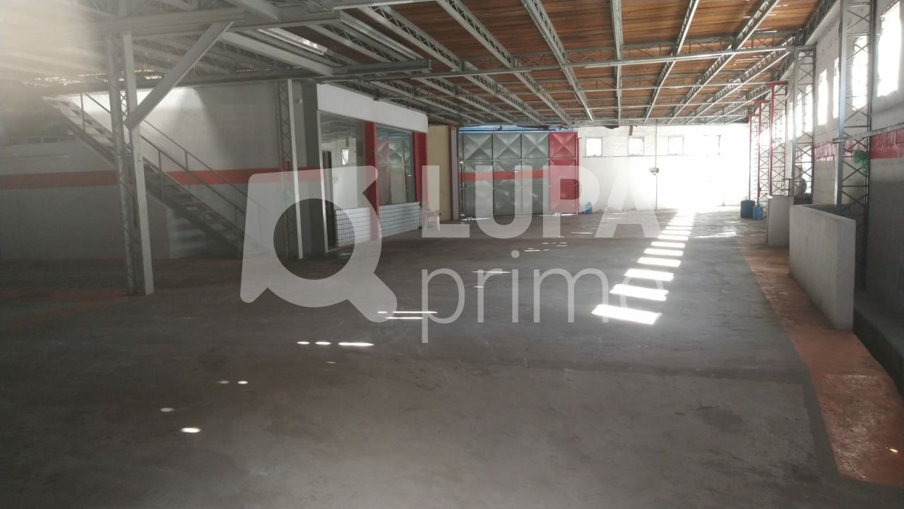 Depósito-Galpão-Armazém à venda, 296m² - Foto 11