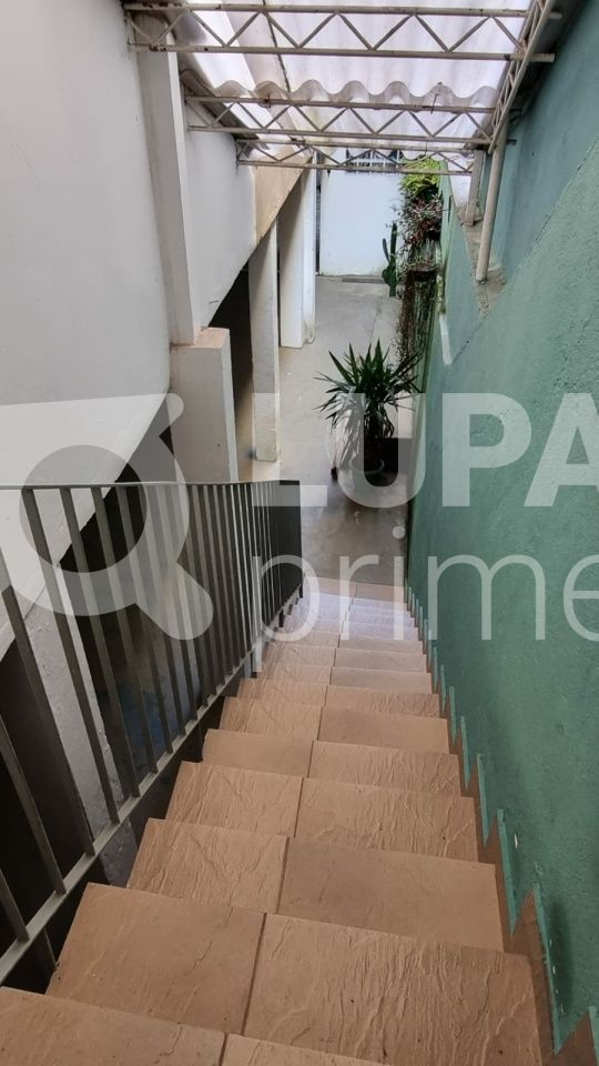 sobrado-venda-sao-paulo-horto-florestal-3dormitorios-1suite-2vagas-184m2-LS36647