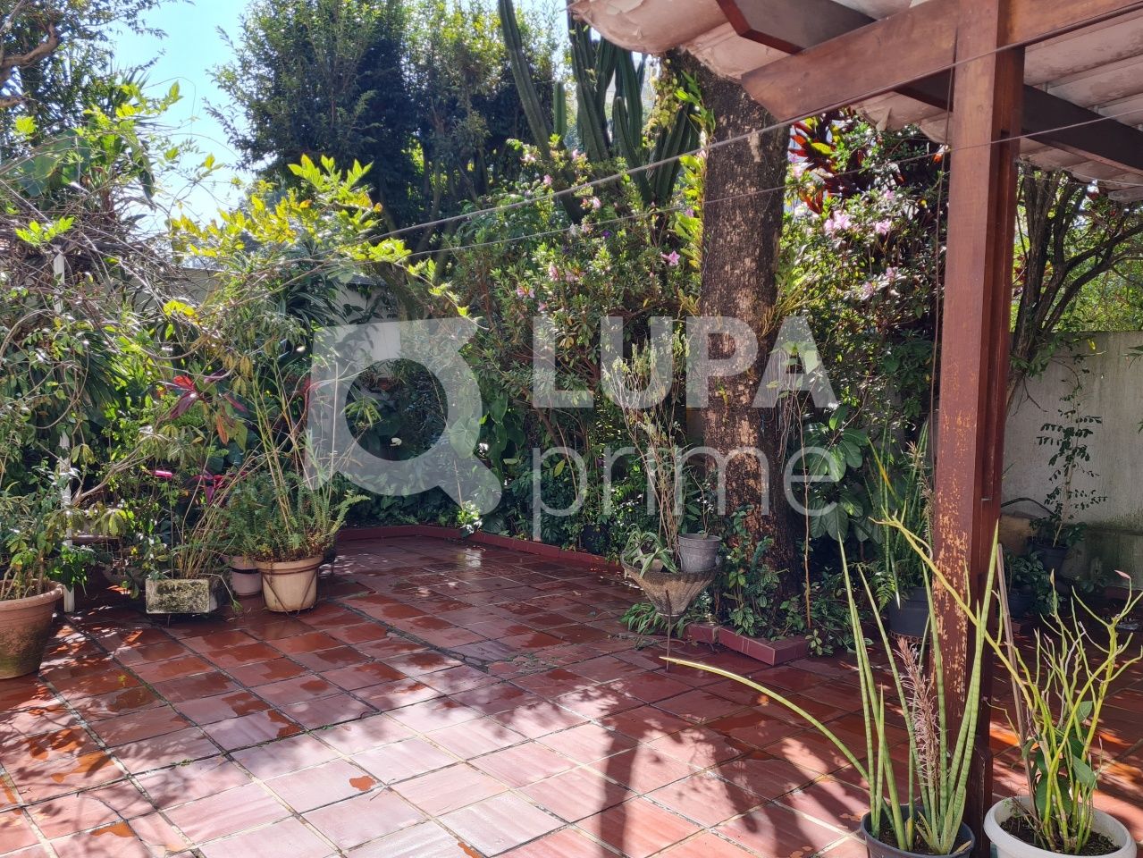 sobrado-venda-sao-paulo-parque-mandaqui-4dormitorios-1suite-3vagas-250m2-LS36705