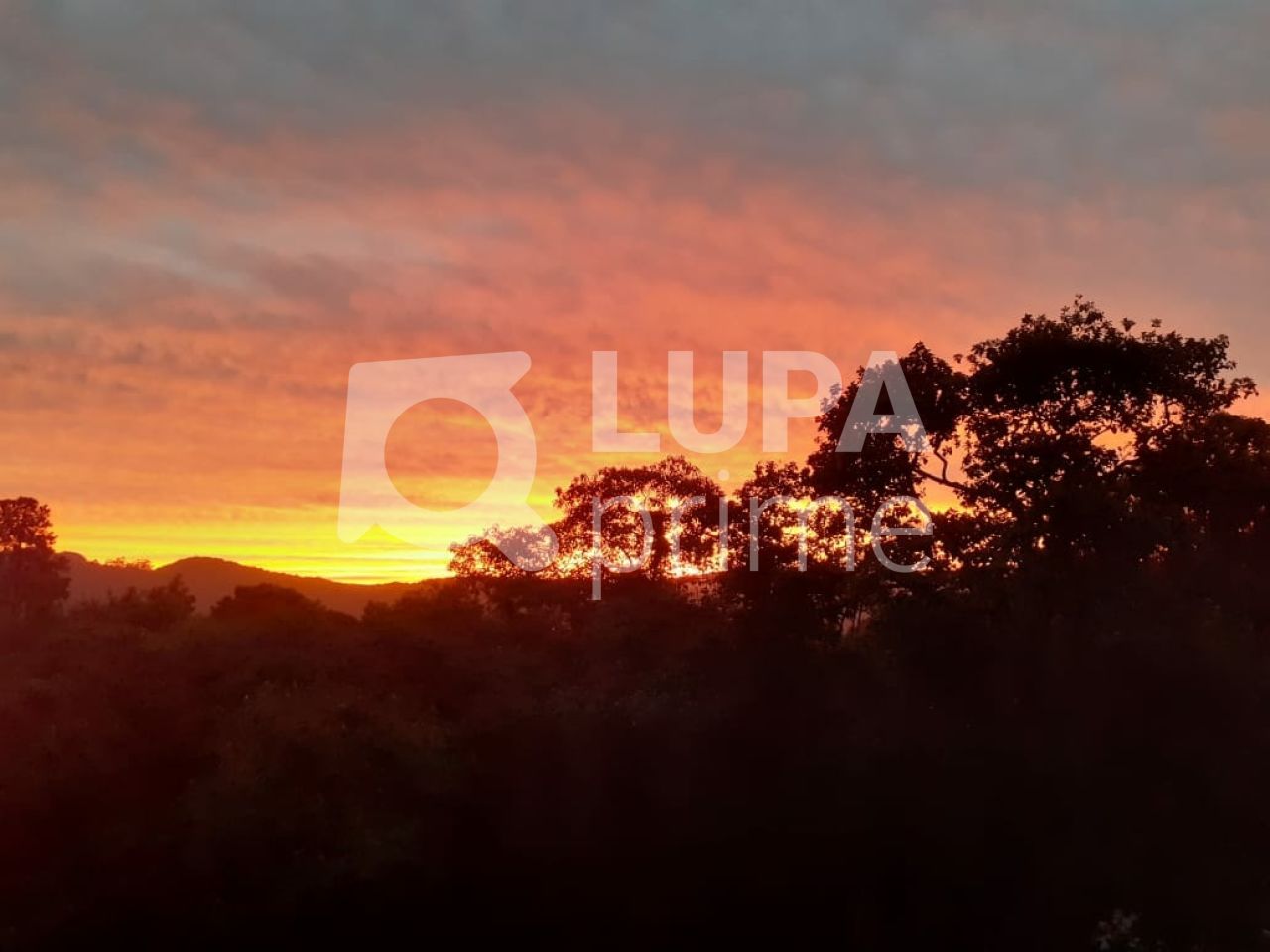 sobrado-venda-sao-paulo-jardim-estrela-dalva-3dormitorios-3suites-700m2-LS36753