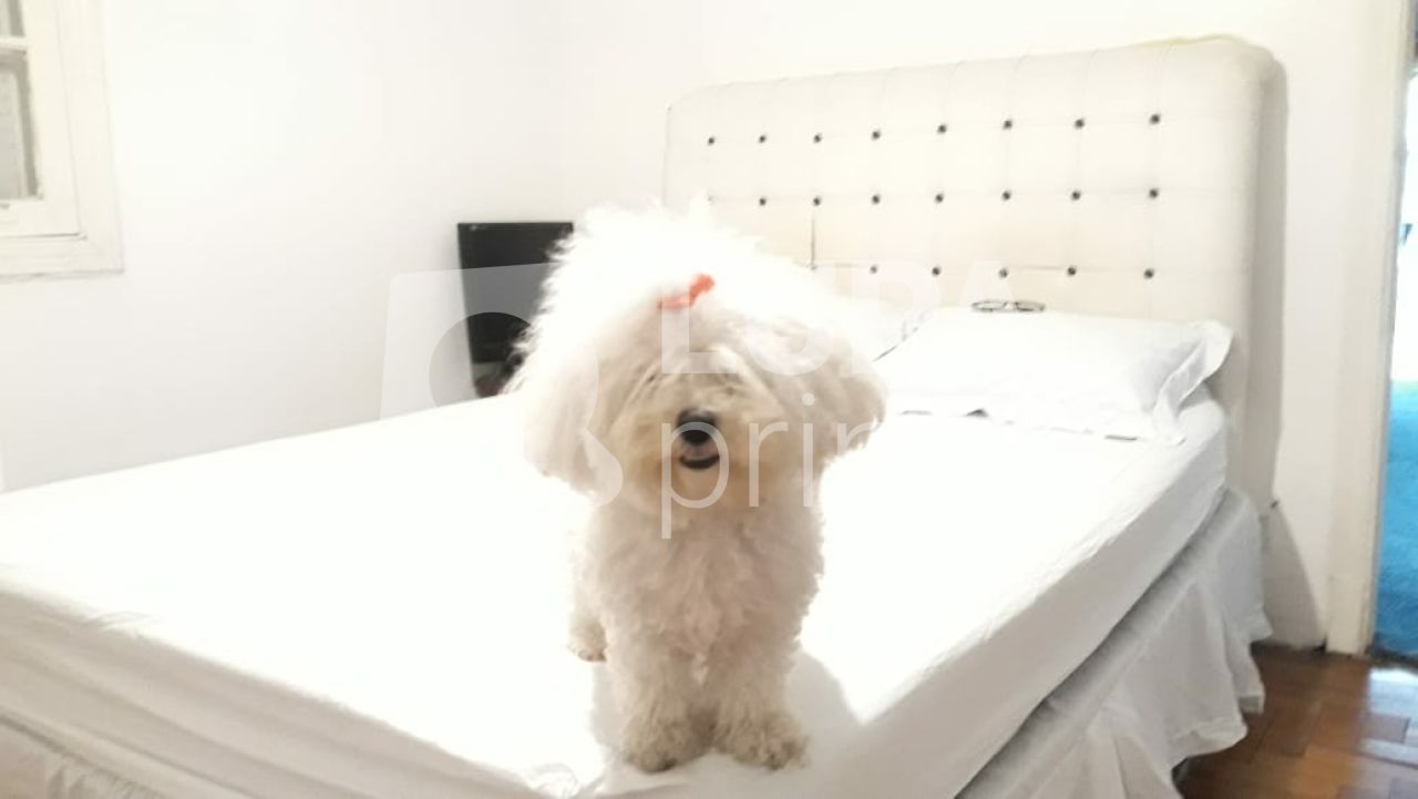 casa-terrea-venda-sao-paulo-santana-3dormitorios-6vagas-150m2-LS36796