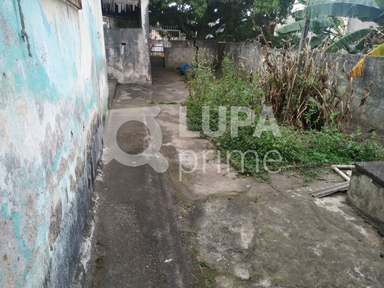 terreno-venda-sao-paulo-vila-taquari-LS36802