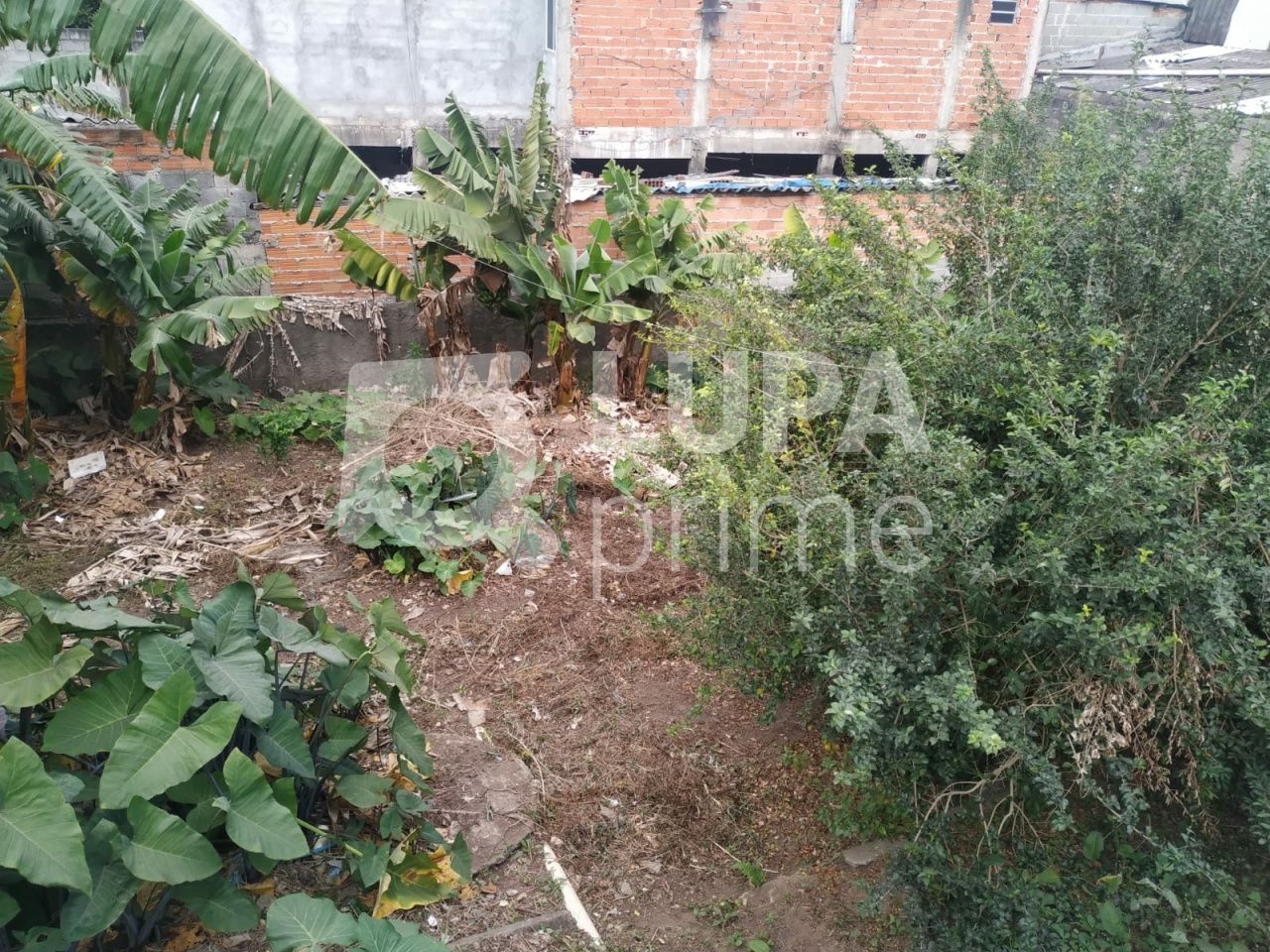 terreno-venda-sao-paulo-vila-taquari-LS36802