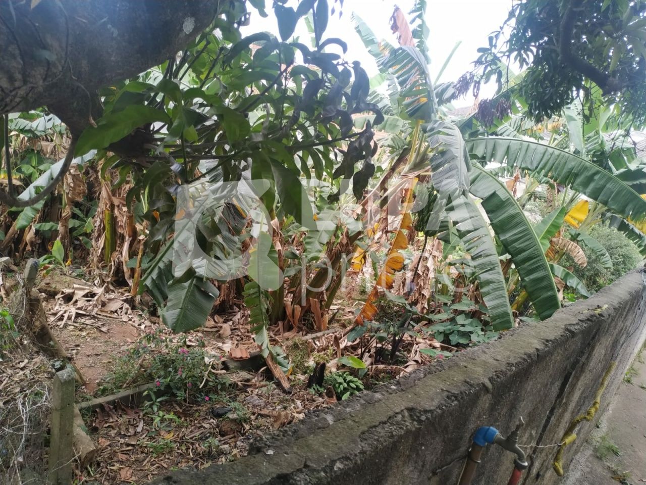 terreno-venda-sao-paulo-vila-taquari-LS36802