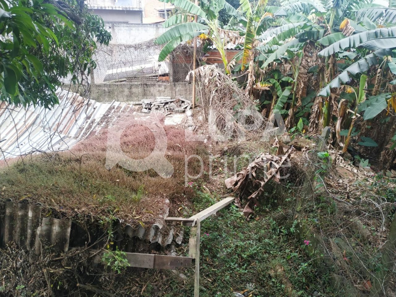 terreno-venda-sao-paulo-vila-taquari-LS36802