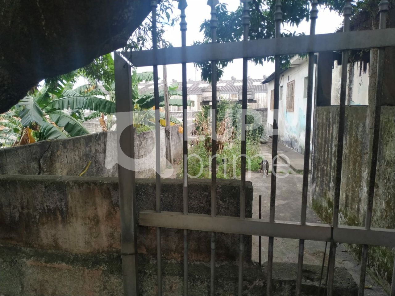 terreno-venda-sao-paulo-vila-taquari-LS36802