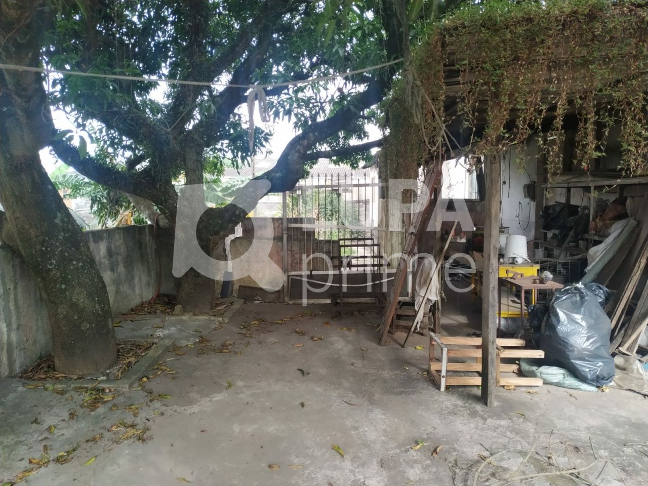 terreno-venda-sao-paulo-vila-taquari-LS36802