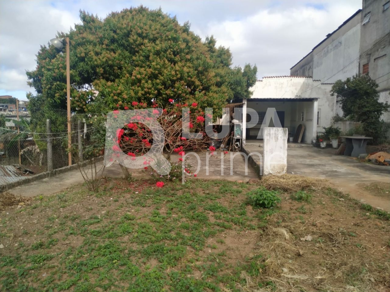 terreno-venda-sao-paulo-vila-taquari-LS36802