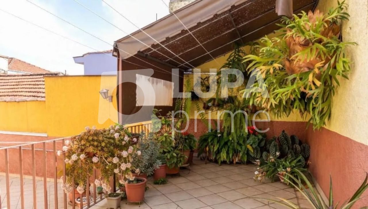 sobrado-venda-sao-paulo-vila-gustavo-3dormitorios-1suite-5vagas-179m2-LS36905