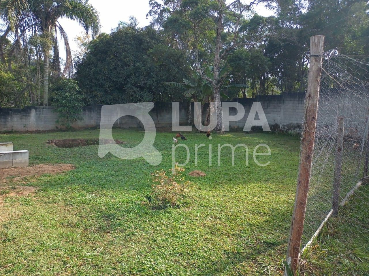 casa-terrea-venda-sao-paulo-parque-florestal-1dormitorio-90m2-LS36958