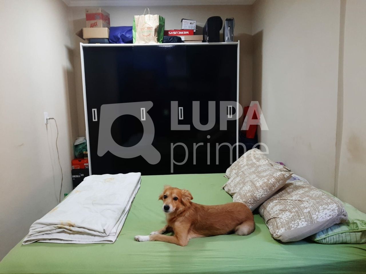 sobrado-venda-sao-paulo-limao-4dormitorios-1suite-2vagas-151m2-LS36974