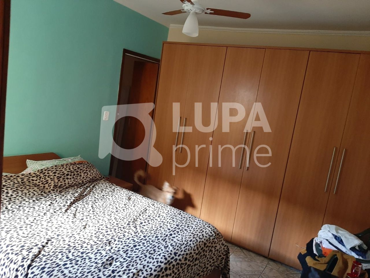 sobrado-venda-sao-paulo-limao-4dormitorios-1suite-2vagas-151m2-LS36974