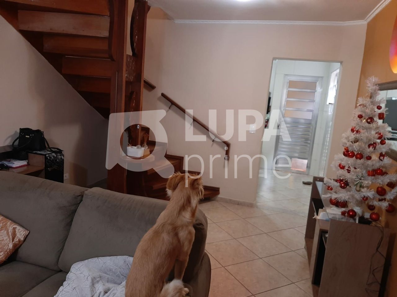 sobrado-venda-sao-paulo-limao-4dormitorios-1suite-2vagas-151m2-LS36974